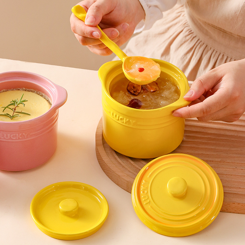 وعاء سيراميك بغطاء مزدوج، وعاء - مراجعة Kitchen Appliances For Cooking وسعره
