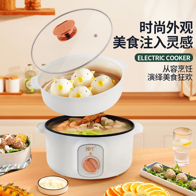 قدر كهربائي صغير متعدد الوظائف - مراجعة Kitchen Appliances For Cooking وسعره