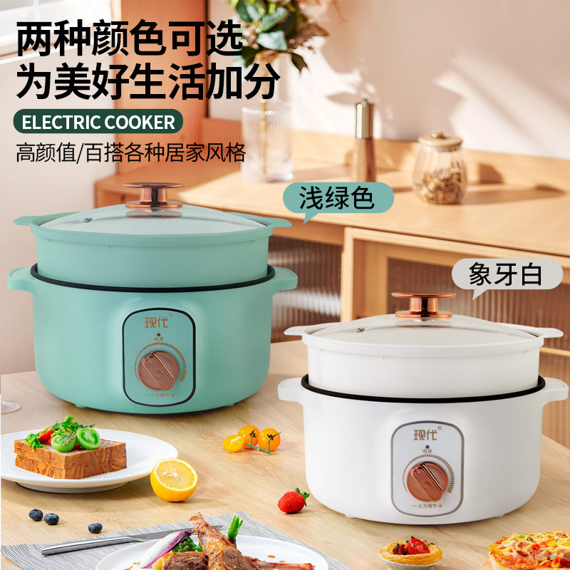 قدر كهربائي صغير متعدد الوظائف - مراجعة Kitchen Appliances For Cooking وسعره